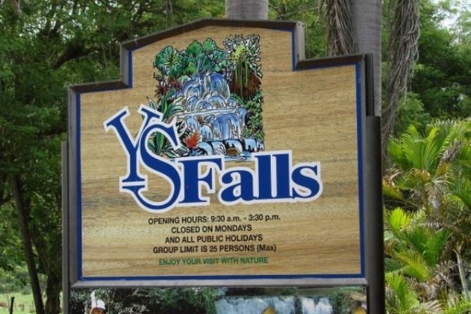 YS Falls, St. Elizabeth